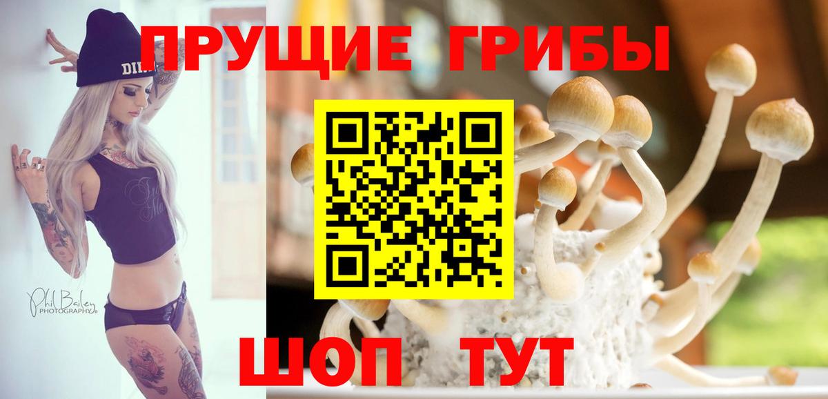 Псилоцибиновые грибы Cubensis  Вход с VPN  где найти наркотики  Сорочинск 
